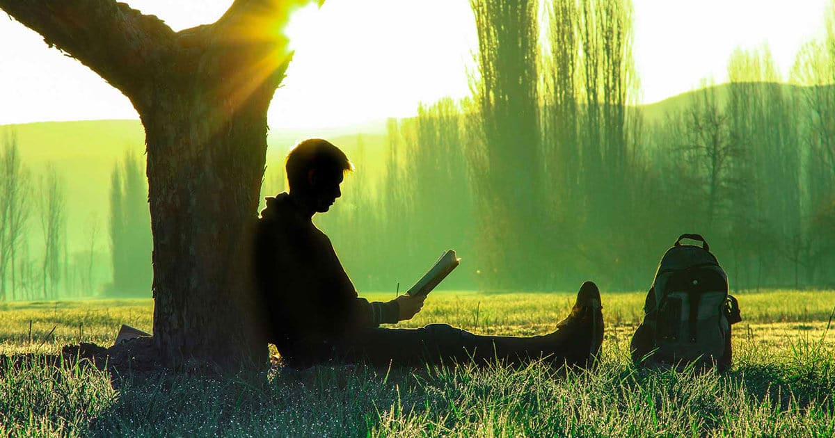 The Human Mind Project — as a Web Developer