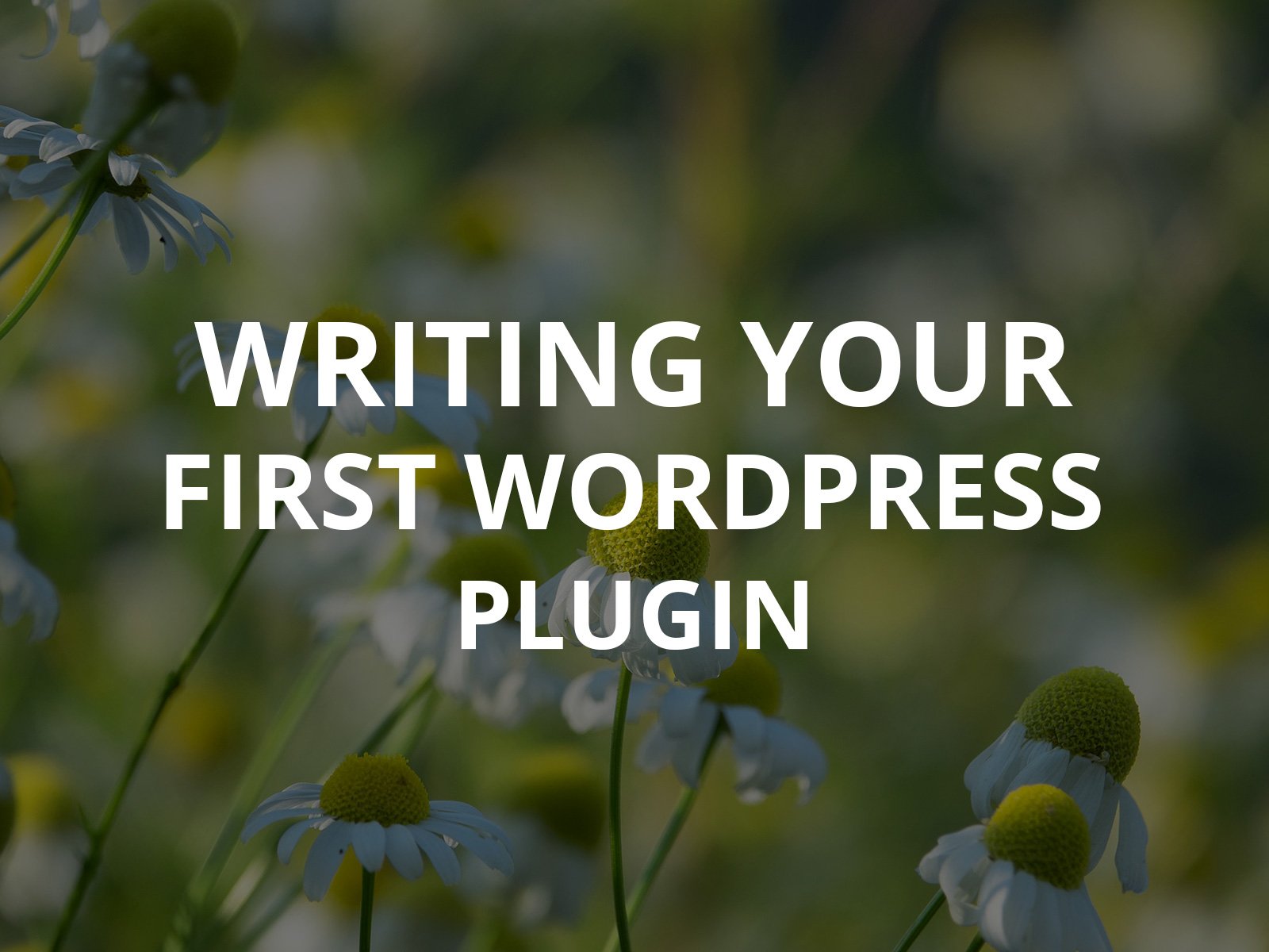 How to Go About Writing Your First WordPress Plugin  
